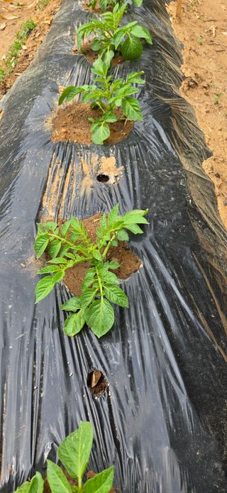 한병훈님의 작성글 사진