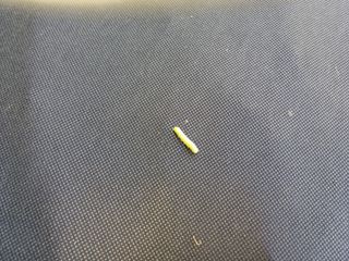 최정윤님의 기타작물 · 영농일지 작성글 사진