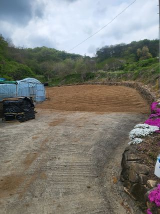 이상욱님의 고추 · 영농일지 작성글 사진