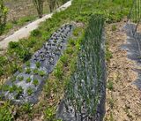 강호지인님의 작성글 사진