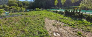 강호지인님의 기타작물 · 영농일지 작성글 사진