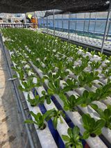 조용우님의 작성글 사진