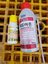 의성,군위 나상덕님의 작성글 사진