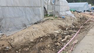 축복의땅 에덴동산님의 사과 · 영농일지 작성글 사진