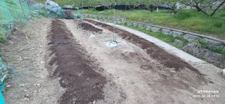 달맛햇복숭아농원님의 고추 · 영농일지 작성글 사진