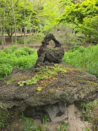 김영순님의 기타작물 · 영농일지 작성글 사진