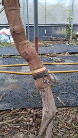 가끔 천재님의 작성글 사진