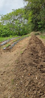 한병훈님의 작성글 사진