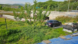 장정규님의 복숭아 · 영농일지 작성글 사진