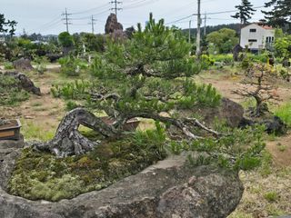 김영순님의 기타작물 · 영농일지 작성글 사진
