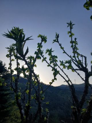 인생은 소풍처럼~님의 기타작물 · 영농일지 작성글 사진