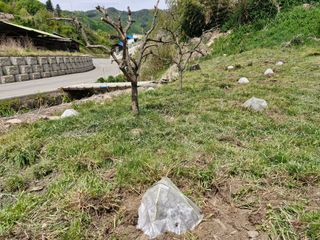 성은모님의 기타작물 · 영농일지 작성글 사진