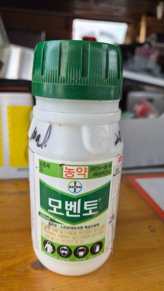 늘푸른 농장주님의 기타작물 · 영농일지 작성글 사진