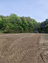 백운농원 님의 작성글 사진