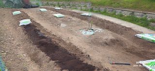 달맛햇복숭아농원님의 고추 · 영농일지 작성글 사진