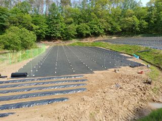 최정윤님의 기타작물 · 영농일지 작성글 사진