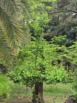 김영순님의 작성글 사진