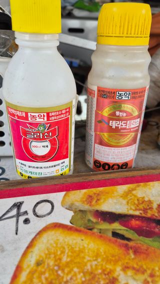 늘푸른 농장주님의 기타작물 · 영농일지 작성글 사진