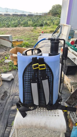 늘푸른 농장주님의 기타작물 · 영농일지 작성글 사진