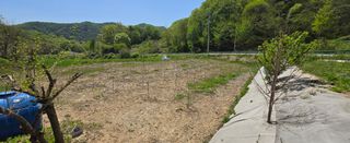 강호지인님의 작성글 사진