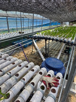 조용우님의 기타작물 · 영농일지 작성글 사진