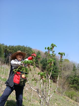 인생은 소풍처럼~님의 기타작물 · 영농일지 작성글 사진