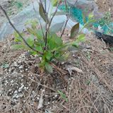 正覺님의 작성글 사진