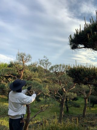 이종승님의 기타작물 · 영농일지 작성글 사진