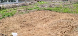 유성훈님의 상추 · 영농일지 작성글 사진