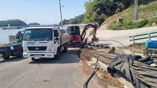 최강K님의 기타작물 · 영농일지 작성글 사진