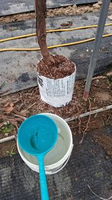 가끔 천재님의 작성글 사진