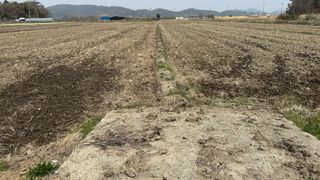 씨와님의 벼 · 영농일지 작성글 사진