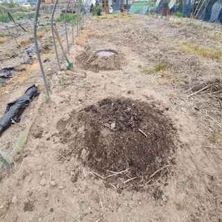 초록하늘별님의 기타작물 · 영농일지 작성글 사진