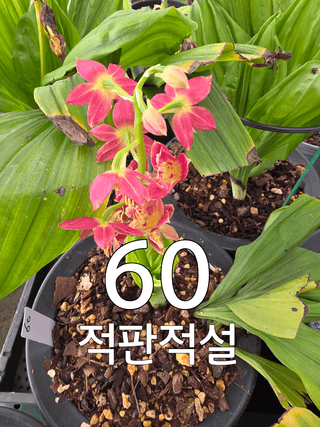 이성규 님의 기타작물 · 영농일지 작성글 사진