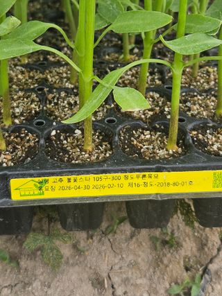 김해열님의 기타작물 · 영농일지 작성글 사진