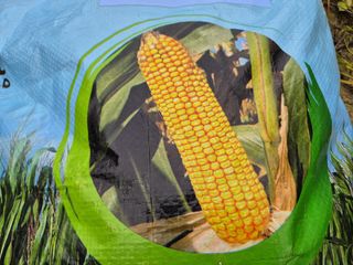 늘햇살팜 님의 기타작물 · 영농일지 작성글 사진