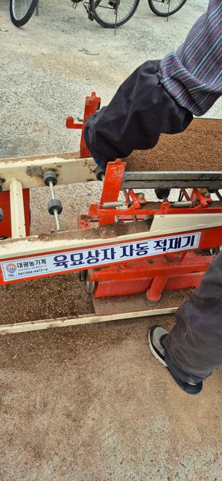 조준제님의 벼 · 영농일지 작성글 사진