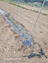 유명숙님의 작성글 사진