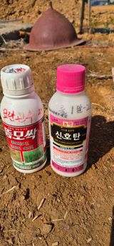 팜모닝 벼·영농일지 게시글 이미지