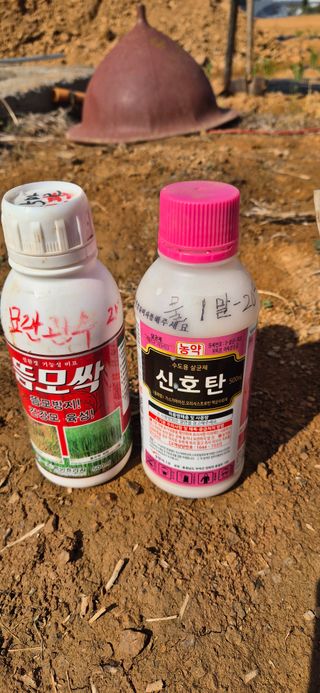 골드래곤님의 벼 · 영농일지 작성글 사진