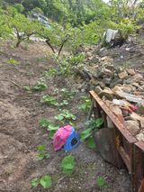 김용대님의 작성글 사진