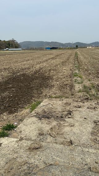 씨와님의 벼 · 영농일지 작성글 사진