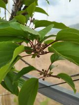 팜모닝 기타작물·영농일지 게시글 이미지