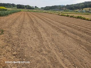 유명숙님의 기타작물 · 영농일지 작성글 사진