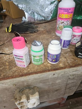 멧돼지님의 기타작물 · 영농일지 작성글 사진