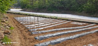 장용선 사진작가농부님의 작성글 사진