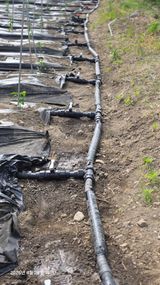 박용열조물주님 님의 작성글 사진