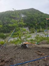 팜모닝 기타작물·영농일지 게시글 이미지