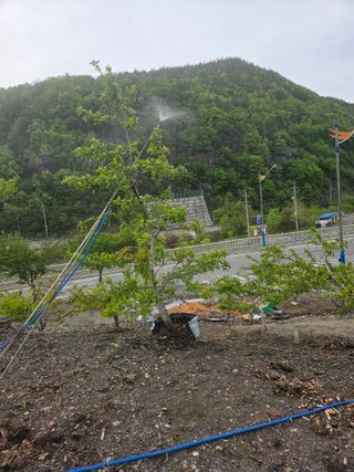 김용대님의 기타작물 · 영농일지 작성글 사진