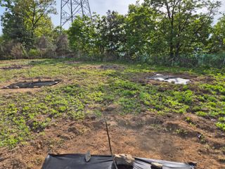 김천양평님의 기타작물 · 영농일지 작성글 사진